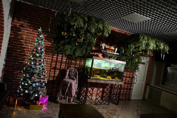 IMG_20221123_175444_632 фото 1