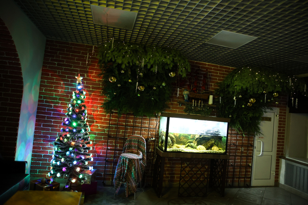 IMG_20221123_175444_632 фото 1