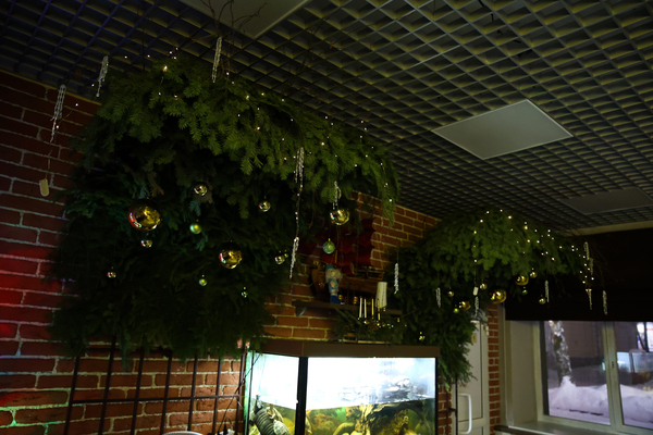 IMG_20221123_175444_632 фото 1