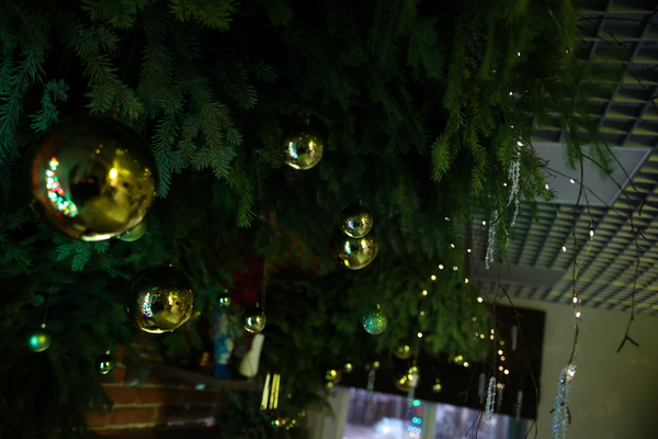 IMG_20221123_175444_632 фото 1